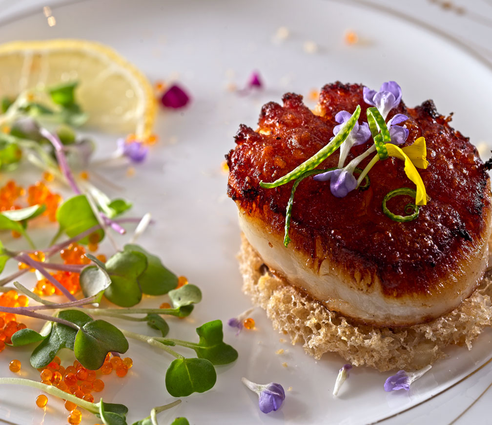 scallop