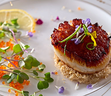 scallop