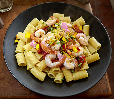 shrimprigatoni