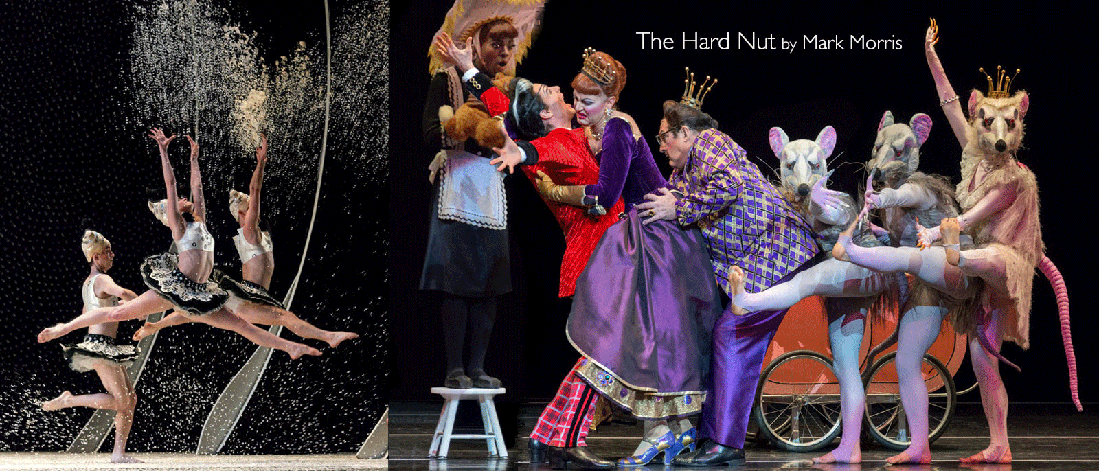 mark_morris_hardnut