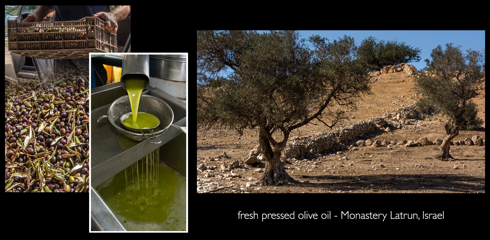 oliveoil2