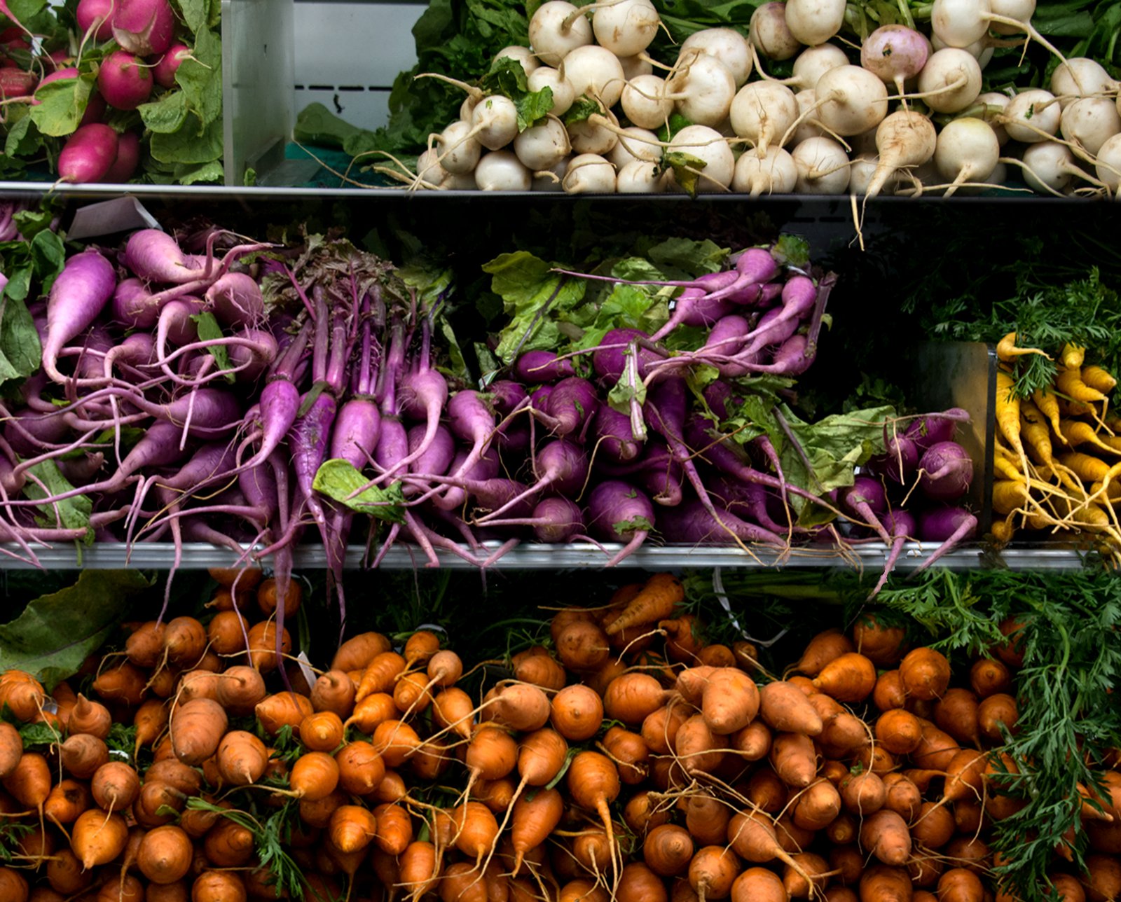 radish