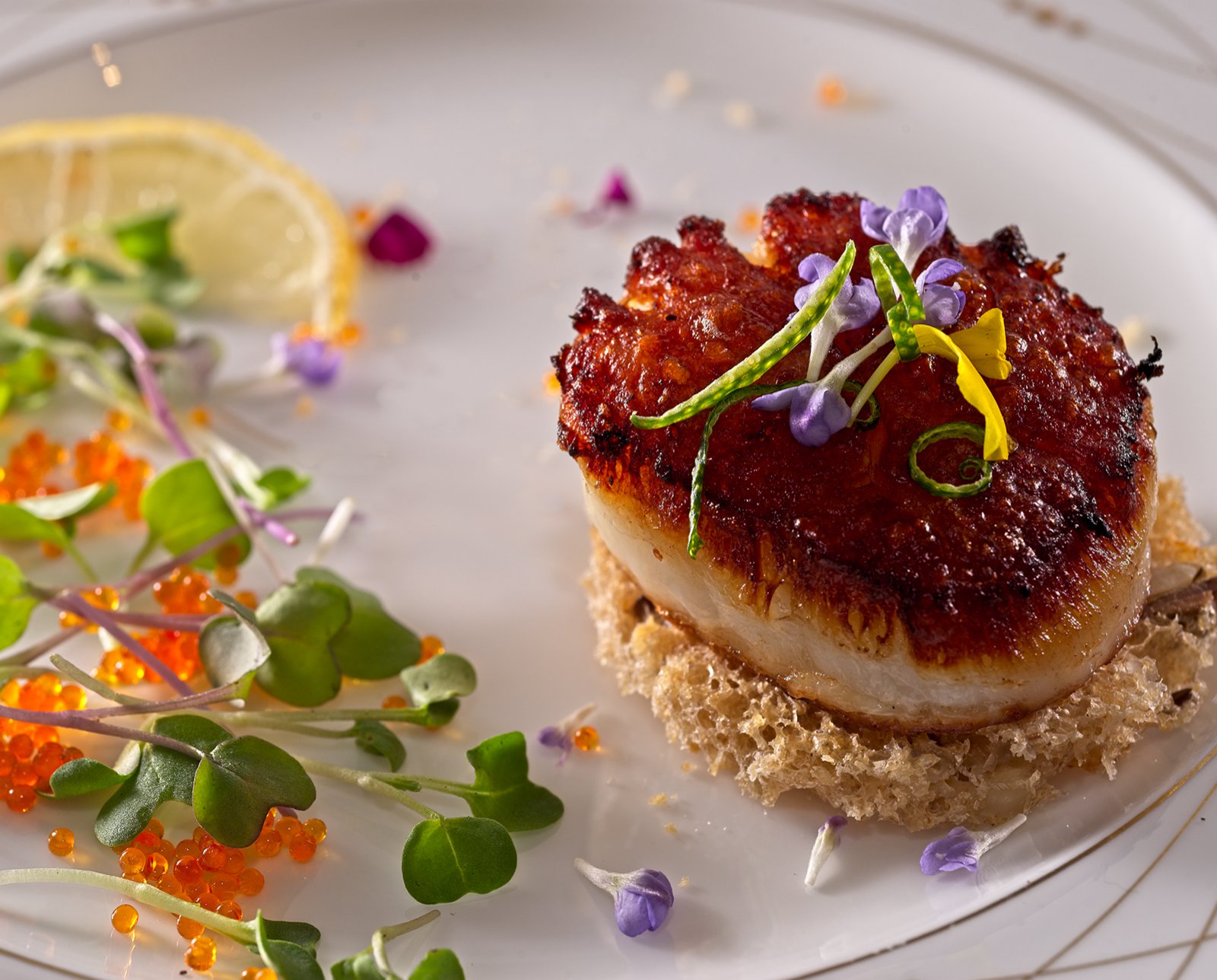 scallop